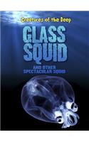Glass Squid and Other Spectacular Squid
