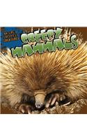 Creepy Mammals