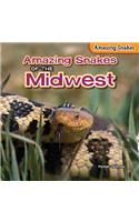 Amazing Snakes of the Midwest