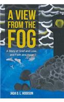 A View from the Fog