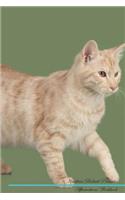 Kurilian Bobtail Affirmations Workbook Kurilian Bobtail Presents: Positive and Loving Affirmations Workbook. Includes: Mentoring Questions, Guidance, Supporting You.