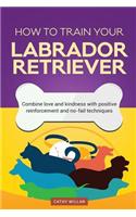 How to Train Your Labrador Retriever (Dog Training Collection): Combine Love and Kindness with Positive Reinforcement and No-Fail Techniques