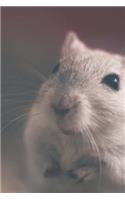 An Adorable Little Pet Mouse Up Close Journal: 150 Page Lined Notebook/Diary