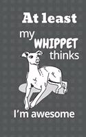 At least my Whippet thinks I'm awesome: For Whippet Dog Fans