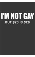 Im Not Gay But 20 Is 20 Notebook: Lined Journal, 120 Pages, 6 x 9, Affordable Gift Journal Matte Finish