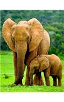 Elephant Unruled Notebook: Unruled, Blank Notebook. No Lines. No Page Numbers. Glossy Cover with Image on Front and Back. Full Size at 8.5 X 11 Inches. Great for Artwork or Jo