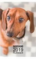 Dachshund Planner