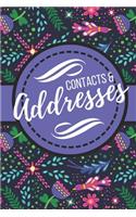 Contacts & Addresses