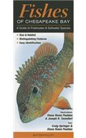 Fishes of Chesapeake Bay