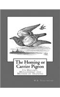 Homing or Carrier Pigeon