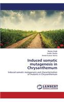 Induced Somatic Mutagenesis in Chrysanthemum
