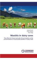 Mastitis in dairy cows