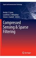 Compressed Sensing & Sparse Filtering
