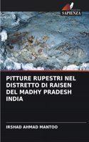 Pitture Rupestri Nel Distretto Di Raisen del Madhy Pradesh India