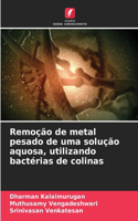 Remoção de metal pesado de uma solução aquosa, utilizando bactérias de colinas