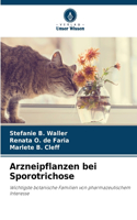 Arzneipflanzen bei Sporotrichose