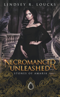 Necromancer Unleashed: (2 Stones of Amaria)