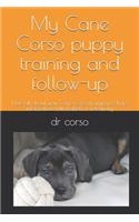 My Cane Corso puppy training and follow-up