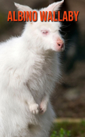 Albino Wallaby