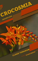 Crocosmia