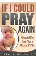 If I Could Pray Again