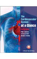 The Cardiovascular System at a Glance