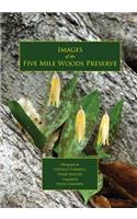 Images of the Five Mile Woods Preserve