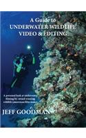 Guide to Underwater Wildlife Video & Editing