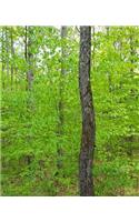School Composition Book Springtime Forest