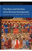 Rise and Decline of an Iberian Bourgeoisie: Manresa in the Later Middle Ages, 1250-1500