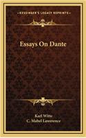 Essays on Dante