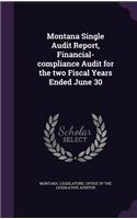 Montana Single Audit Report, Financial-Compliance Audit for the Two Fiscal Years Ended June 30