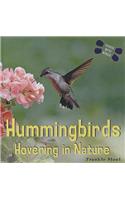 Hummingbirds