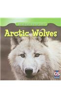 Arctic Wolves