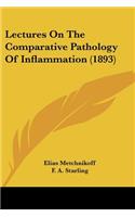 Lectures On The Comparative Pathology Of Inflammation (1893)
