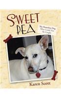 Sweet Pea