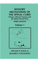 Sensory Mechanisms of the Spinal Cord