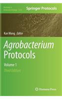 Agrobacterium Protocols: Volume 1(1223 Methods in Molecular Biology)
