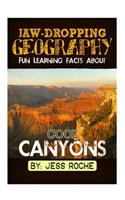 Jaw-Dropping Geography: Fun Learning Facts about Cool Canyons: Illustrated Fun Learning for Kids