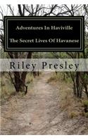 Adventures in Haviville the Secret Lives of Havanese: As Told by Me, Riley the Wiley Havanese