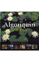 Algonquin Souvenir