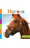 Seedlings: Horses: (Seedlings)
