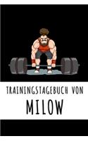 Trainingstagebuch von Milow