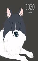 2020 Collie: Dated Weekly Planner With To Do Notes & Dog Quotes - Collie Black White(27 Awesome Calendar Planners for Dog Owners Dark)
