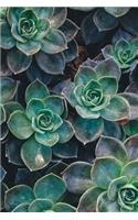 Bullet Journal Succulents Plants Notebook Dotted Journal: 120 Paged, Bullet Journal, dot grid notebook, 6 x 9 (15.2 x 22.9 cm)