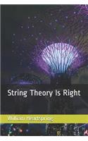 String Theory Is Right