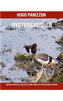 Oystercatcher: Amazing Photos & Fun Facts Book about Oystercatcher for Kids