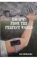 Escape from the Perfect World