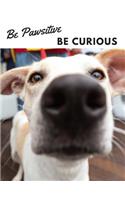 Be Pawsitive Be Curious: Sketchbook with Dog Cover: 100 Pages of 8.5x11 Dot Grid Paper for Journaling, List Making, Sketching, Drawing, or Doodling (Sketchbooks for Dog Love