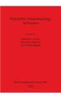 Paleolithic Zooarchaeology in Practice